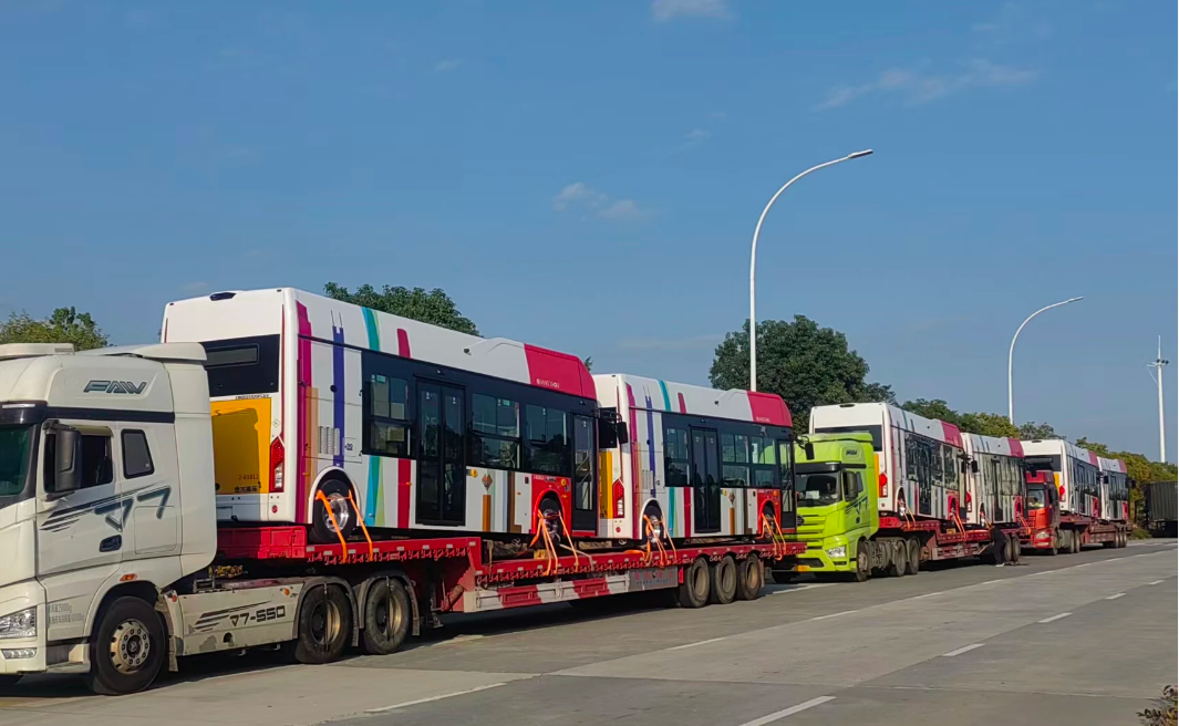 1767579032338264.png 1767579032338264.png