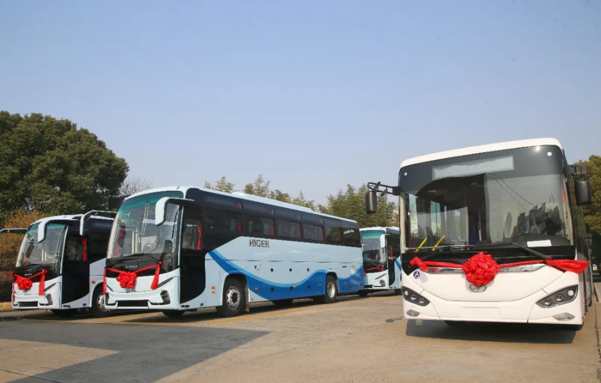 1768184576560182.png 1768184576560182.png