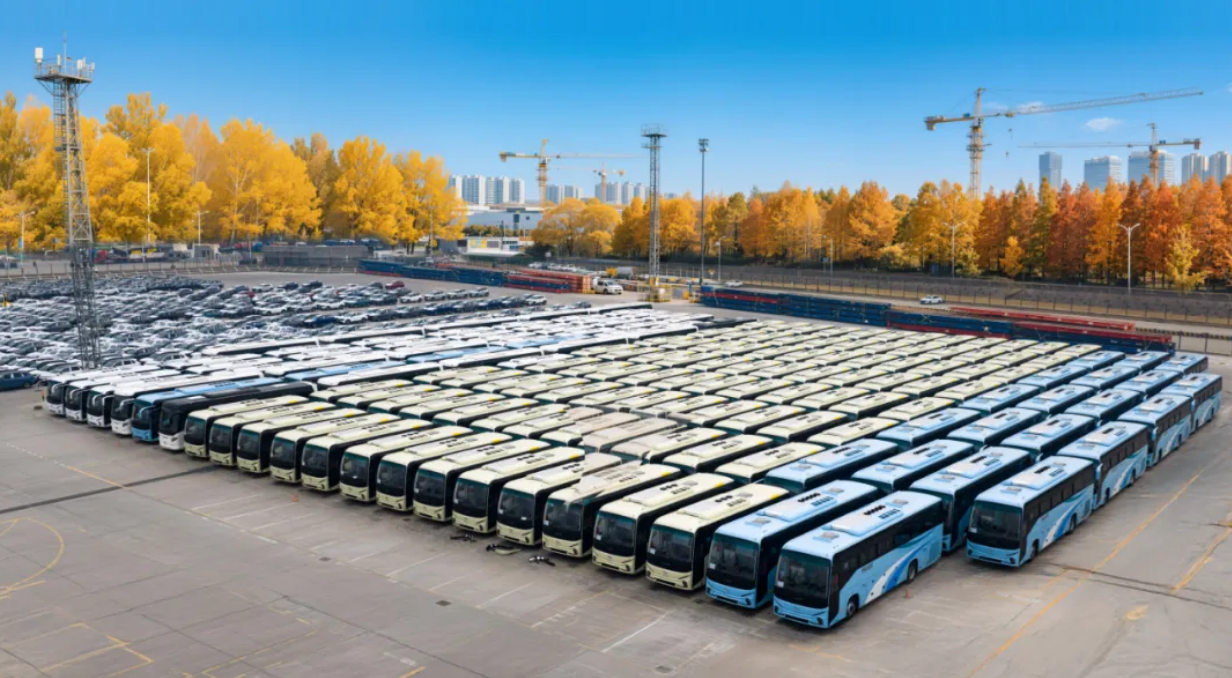 1768184919251786.png 1768184919251786.png