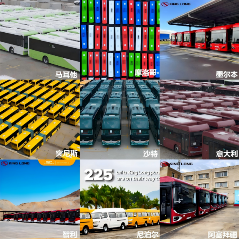 1769566472355392.png 1769566472355392.png